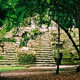 Tikal, El Mundo Perdido
