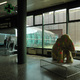 Malpensa, już na lotnisku pojawiają się słonie...