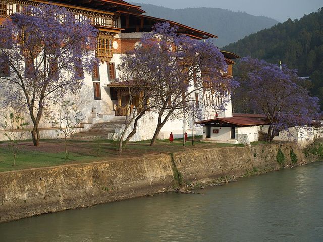 Punakha Dzong w widłach rzek Mo i Pho