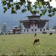 Nowy klasztor w dolinie i krowy