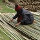 Produkcja mat bambusowych  - zaplatanie