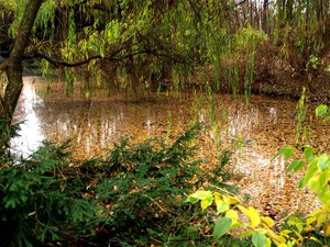 17 Tiergarten