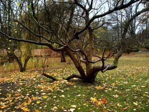 20 Tiergarten