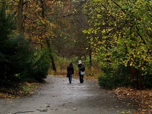 28 Tiergarten