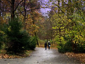29 Tiergarten