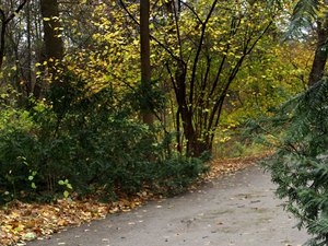 31 Tiergarten