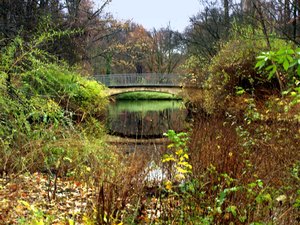 32 Tiergarten