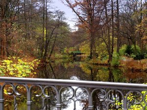 34 Tiergarten