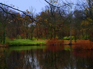 35 Tiergarten