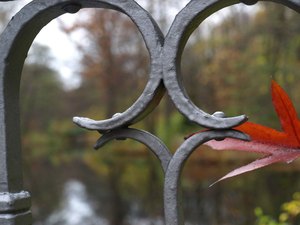 36 Tiergarten