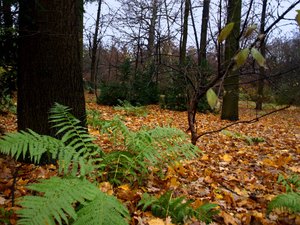39 Tiergarten
