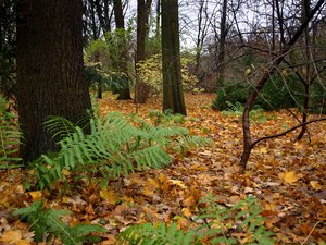40 Tiergarten