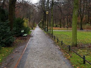 41 Tiergarten