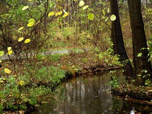 44 Tiergarten
