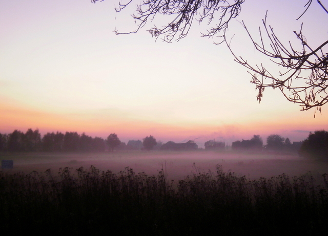 Jesienna mgła - okolice Garwolina