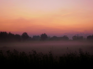 Jesienna mgła - okolice Garwolina