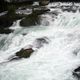 Rhine Falls