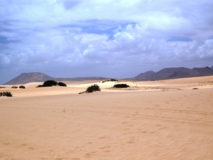 Plaża/pustynia