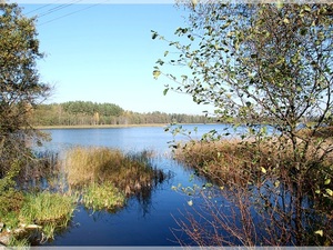 Jezioro Sajenek w pazdzierniku.