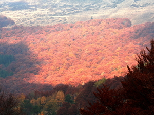 Bieszczady 17