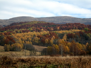 Bieszczady01