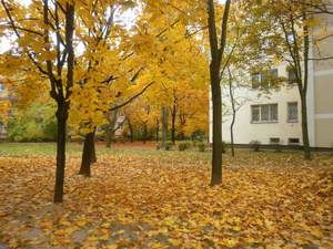 Warszawa