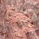 511186 - Petra Petra Miasto wykute w skałach