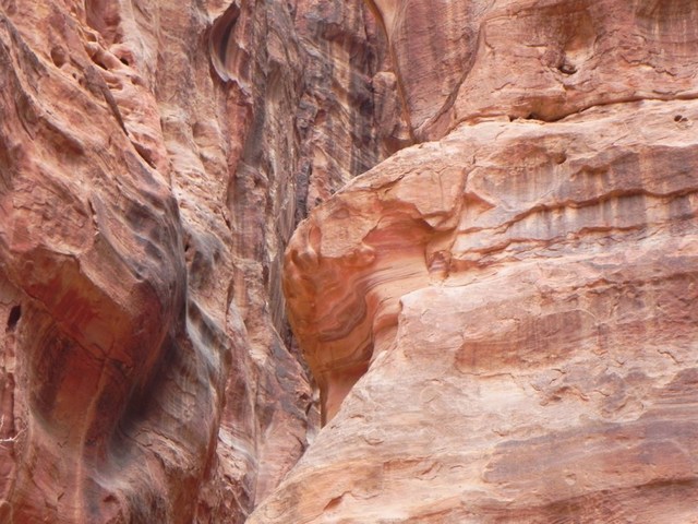 511218 - Petra Petra Miasto wykute w skałach