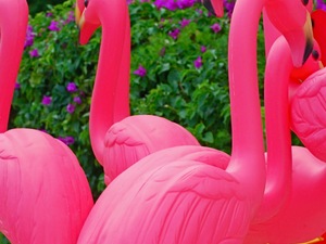 flamingi.... wersja ogrodowa