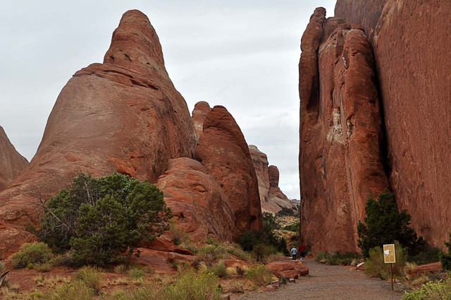 Arches National Park