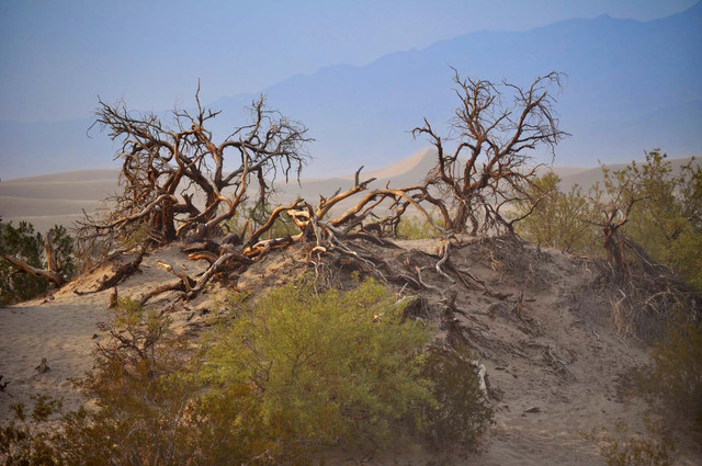 Death Valley