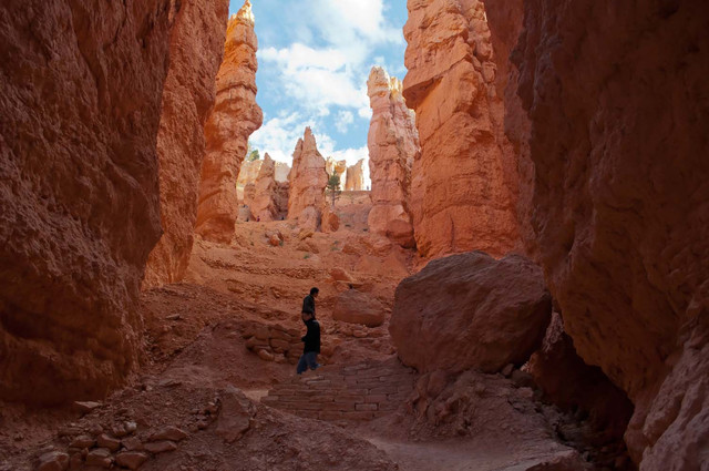 Bryce National Park