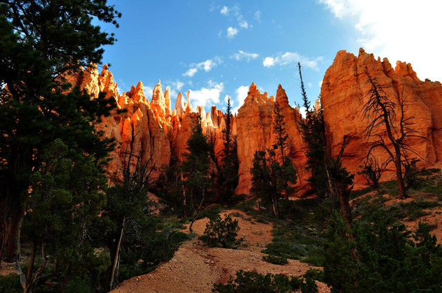 Bryce National Park
