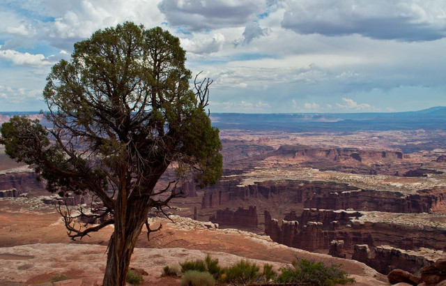Grand Canyon