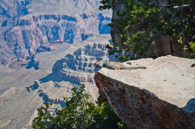 Grand Canyon