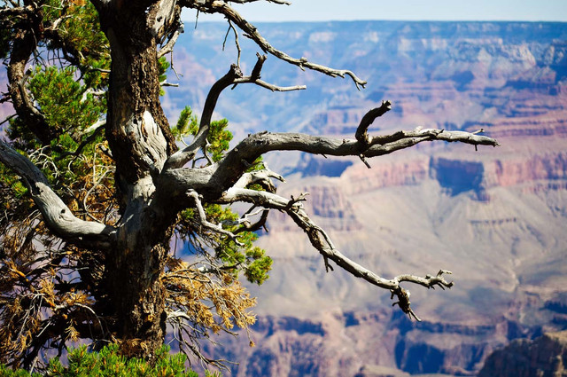 Grand Canyon