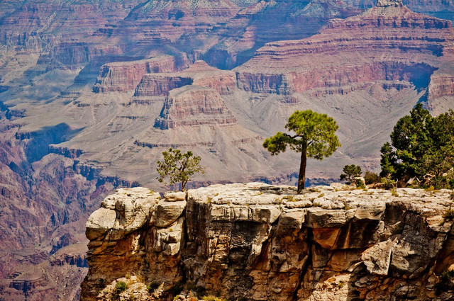 Grand Canyon