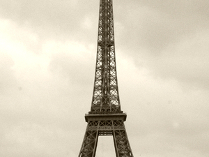Dsc 8235