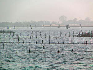 Burano - widok na lagunę