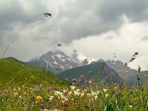 Kazbek