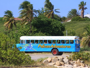 515365 - Aruba Aruba One Happy Island