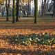 Jesień w Parku Jasnogórskim