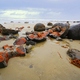 522332 - Moeraki MOERAKI BOULDERS