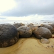 522336 - Moeraki MOERAKI BOULDERS