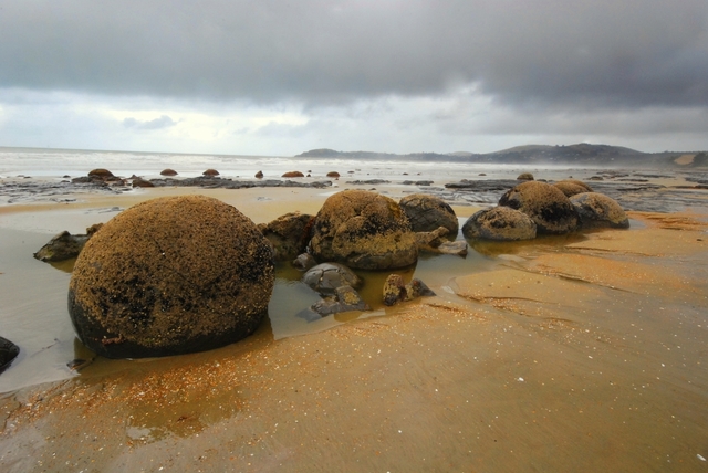 522337 - Moeraki MOERAKI BOULDERS