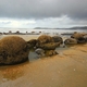 522337 - Moeraki MOERAKI BOULDERS