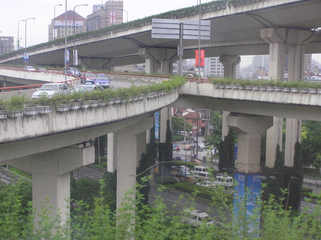 Pq1010466