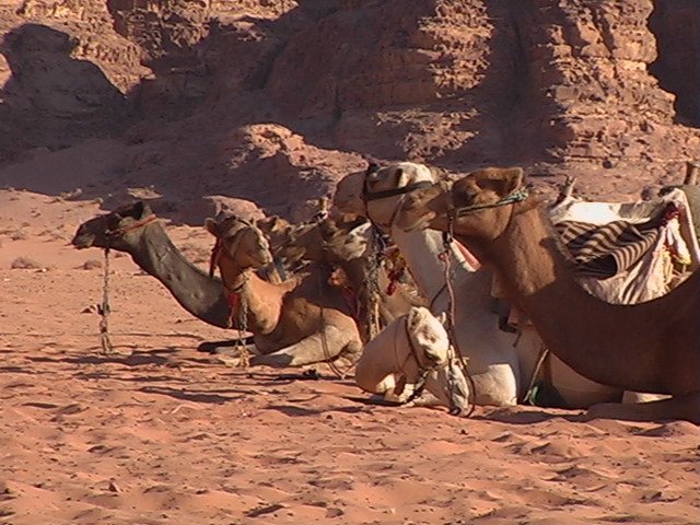 Wadi Rum