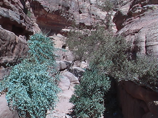Petra