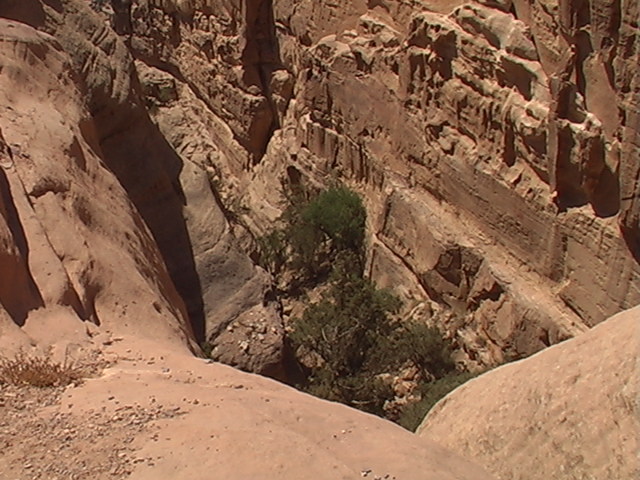 Petra